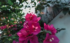 Oh Battambang Boutique Hotel
